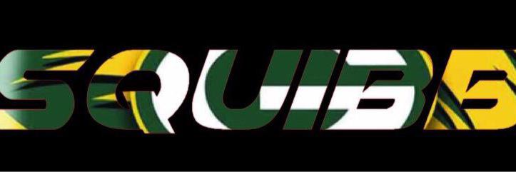 Squiibb's profile banner image