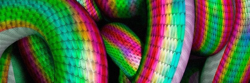 visionescolores's profile banner image