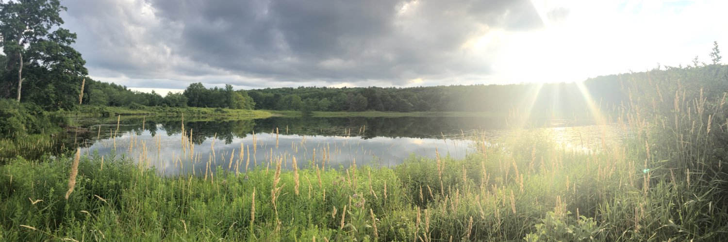 gardenofone's profile banner image