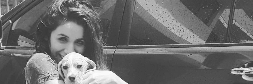 Valee1643's profile banner image