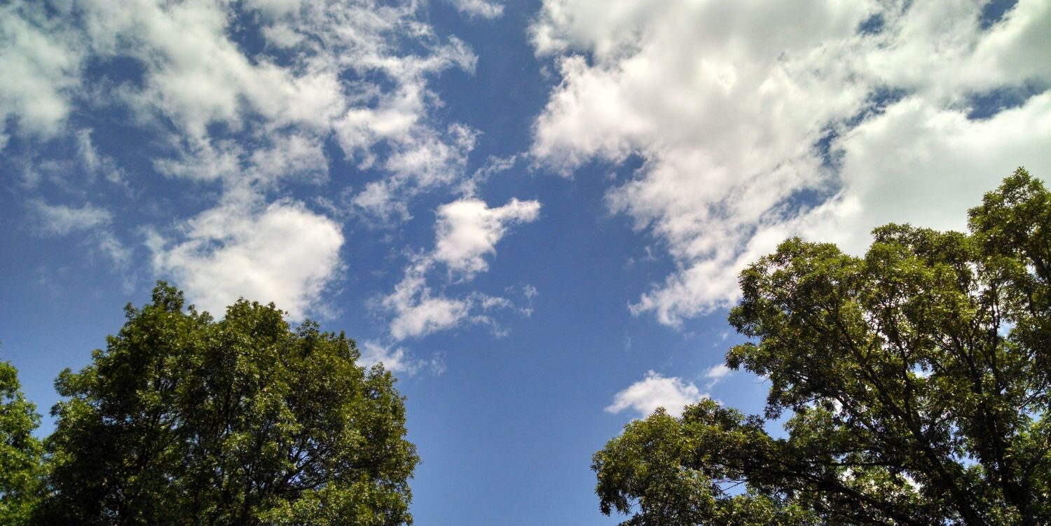 greatmcscott's profile banner image