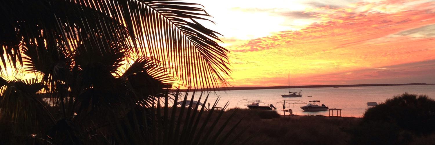 ellwhitehead's profile banner image