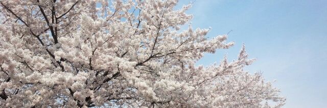 810_15's profile banner image