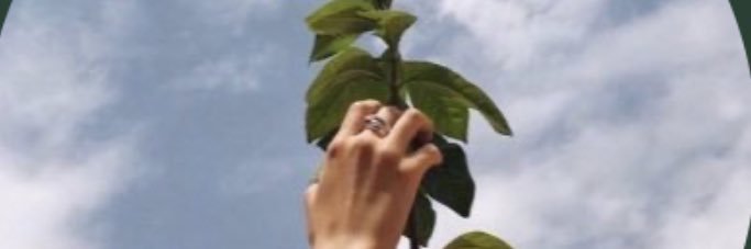 __Nourrah7's profile banner image