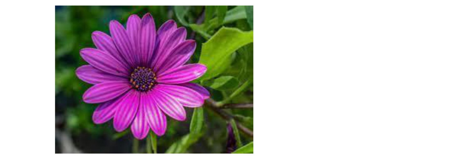 syallowmbugua's profile banner image