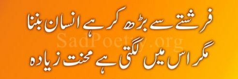 syemajabbar's profile banner image