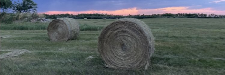 RangerShane's profile banner image