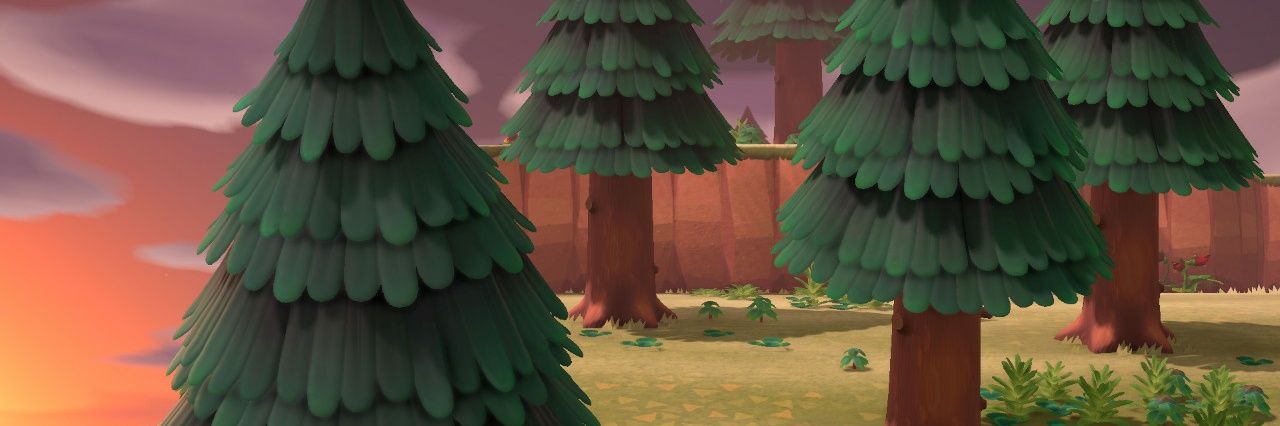 AceRabble's profile banner image