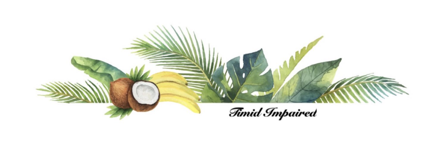 TimidImpaired's profile banner image