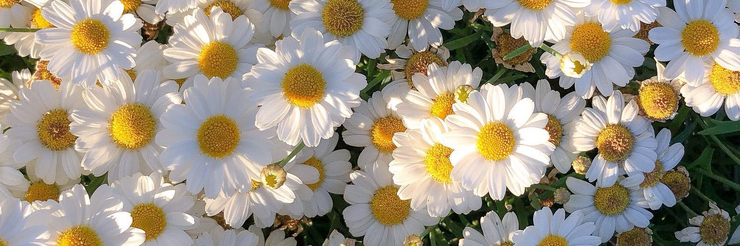 mich_144's profile banner image