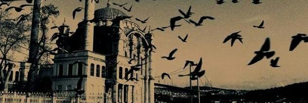 nurduem's profile banner image