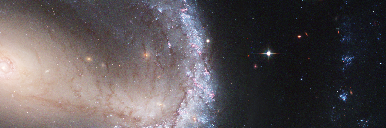 Universal Molecule banner