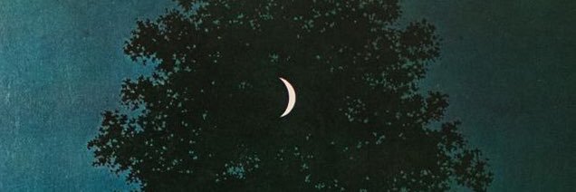 eelsfeels's profile banner image