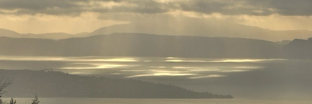 Synøve Andersson banner