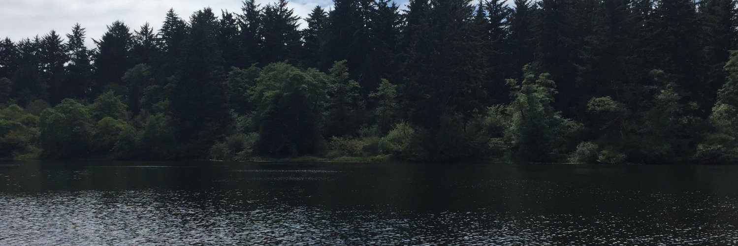 StirlingMyles's profile banner image