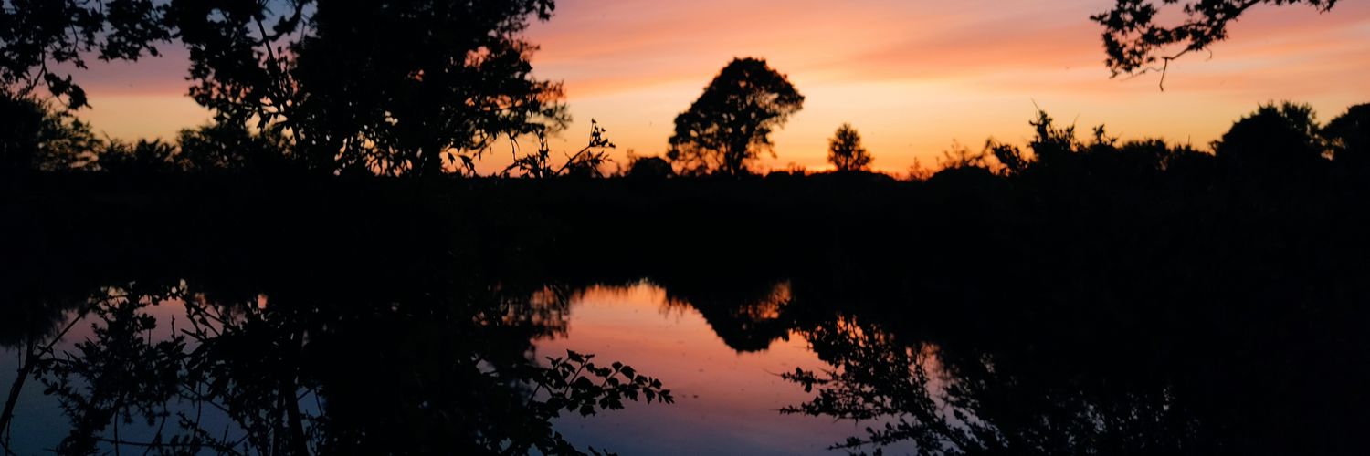 George Clown-né 🇺🇦🇺🇦🇺🇦 banner