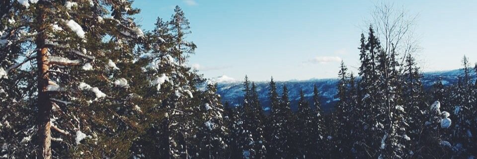 Ninamjaset's profile banner image