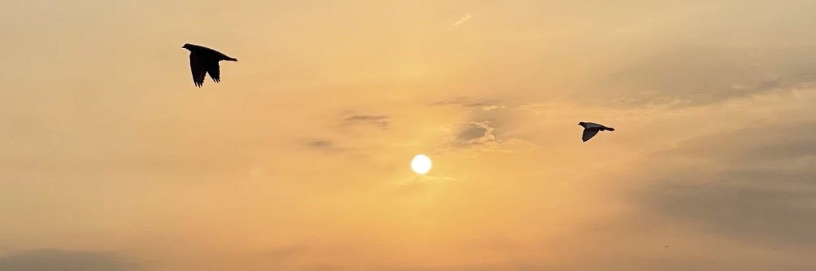 د.وفاء سبيتي's banner
