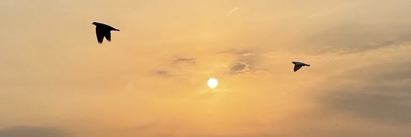 DrWafaaa Profile Banner