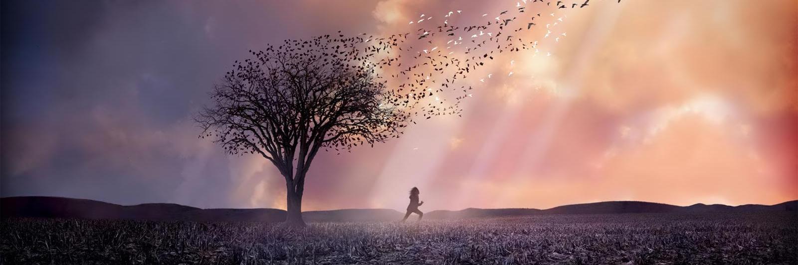 thestarrlove's profile banner image
