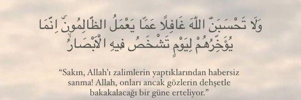 muhammedarvas Profile Banner