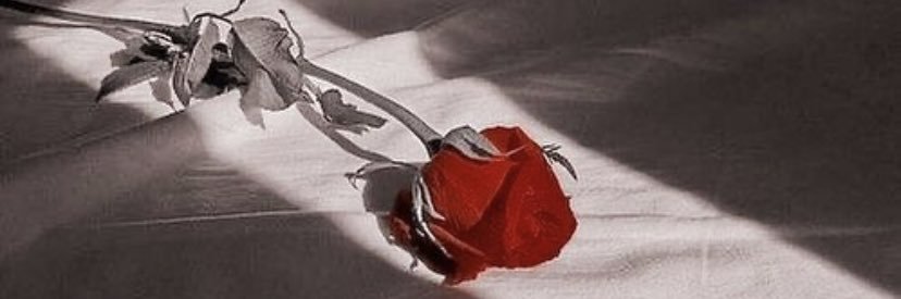 brit_xxoo's profile banner image