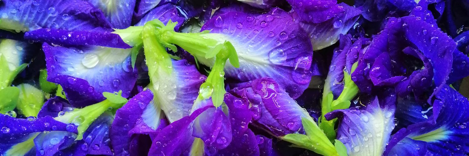 JackkarinP's profile banner image