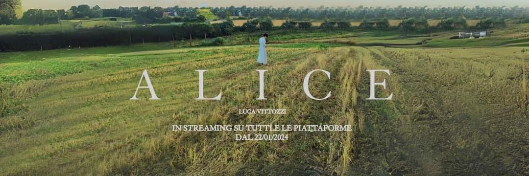 VittozziLuca's profile banner image