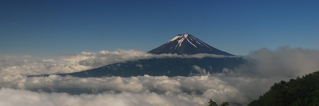 ZOU banner
