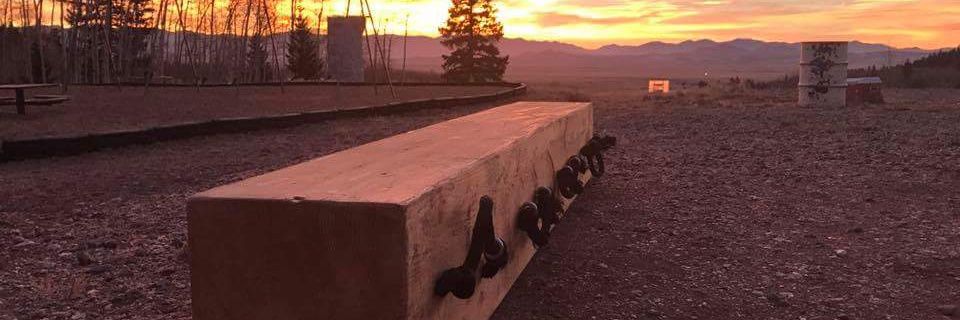 Fiercegriz's profile banner image