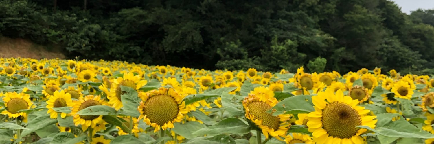 luosjjj's profile banner image