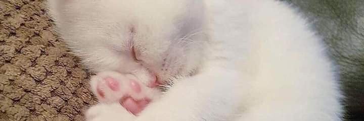 maylen_m's profile banner image