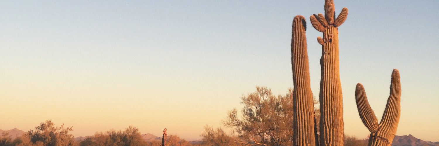 solechiii's profile banner image