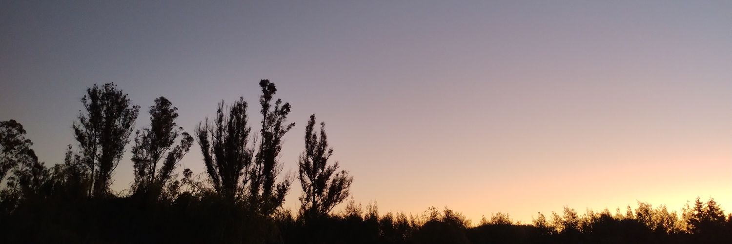 Chinosk24's profile banner image