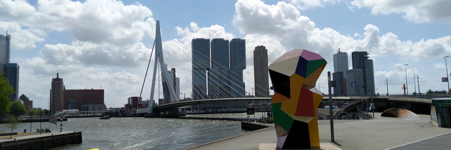 Koert Schonewille banner