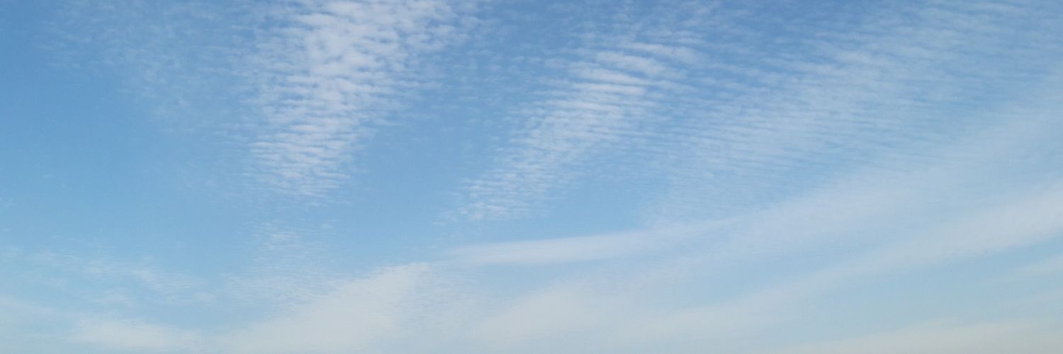 ronitronu91's profile banner image