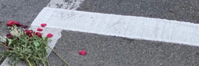 haileyrose30's profile banner image