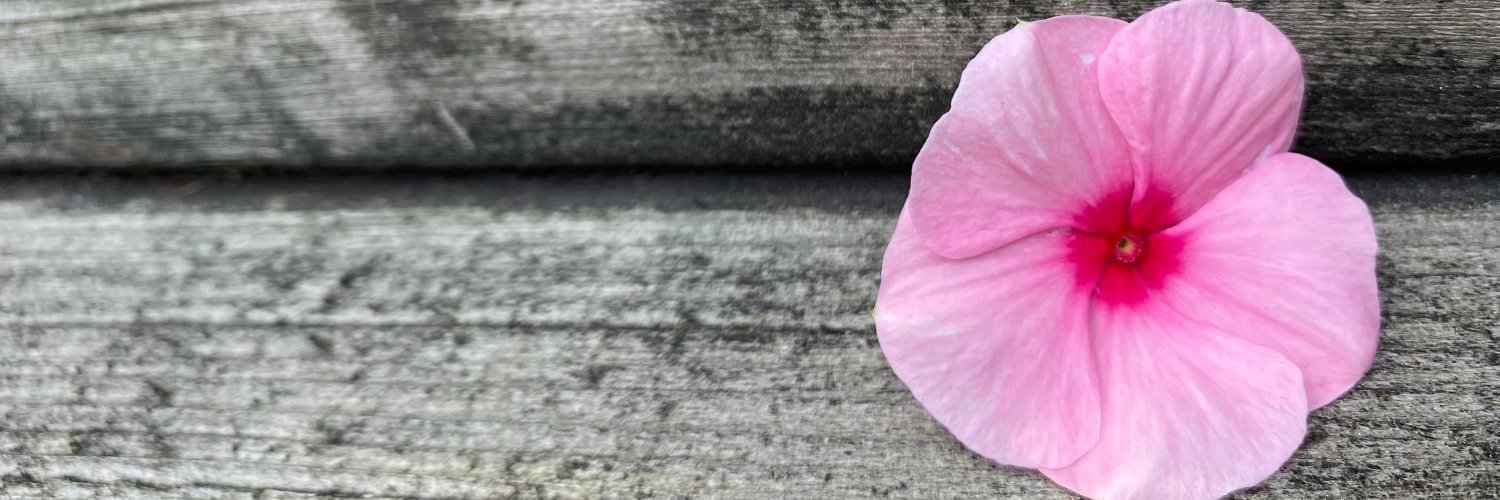 Stephanie Lazzaro banner