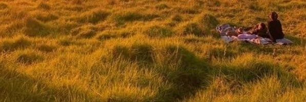 salmaaaahere's profile banner image