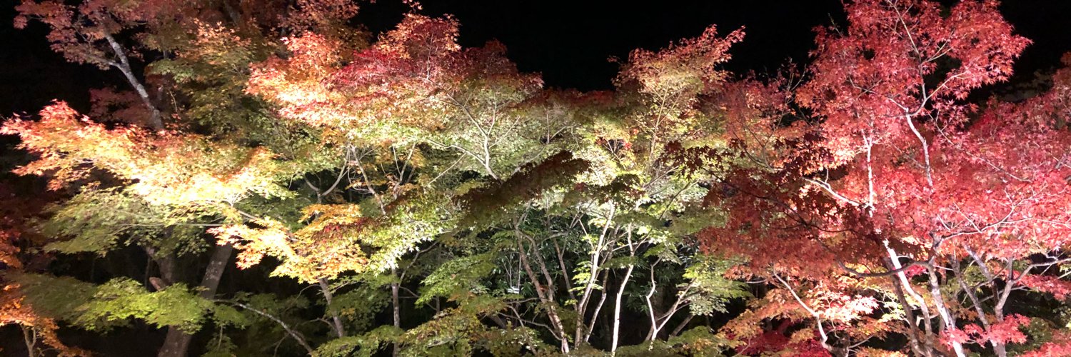 SN8's profile banner image