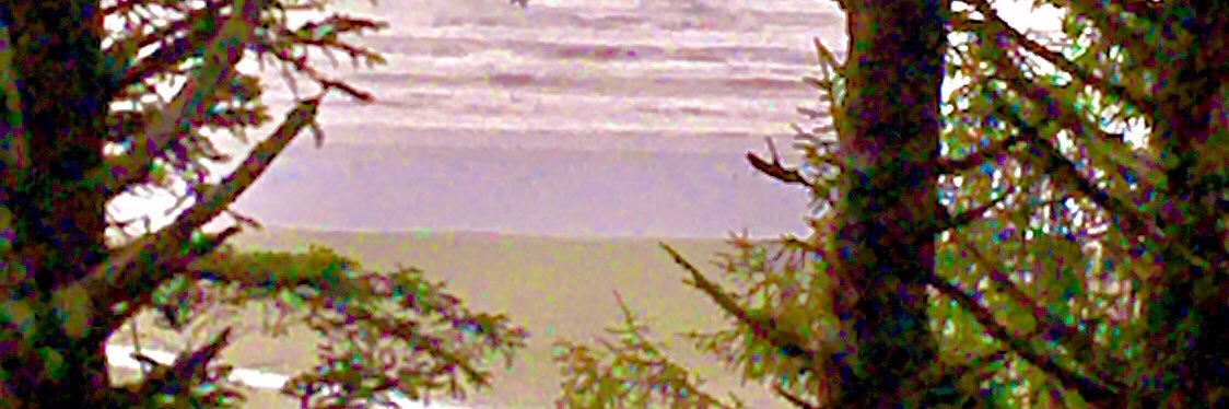 Pam98022's profile banner image