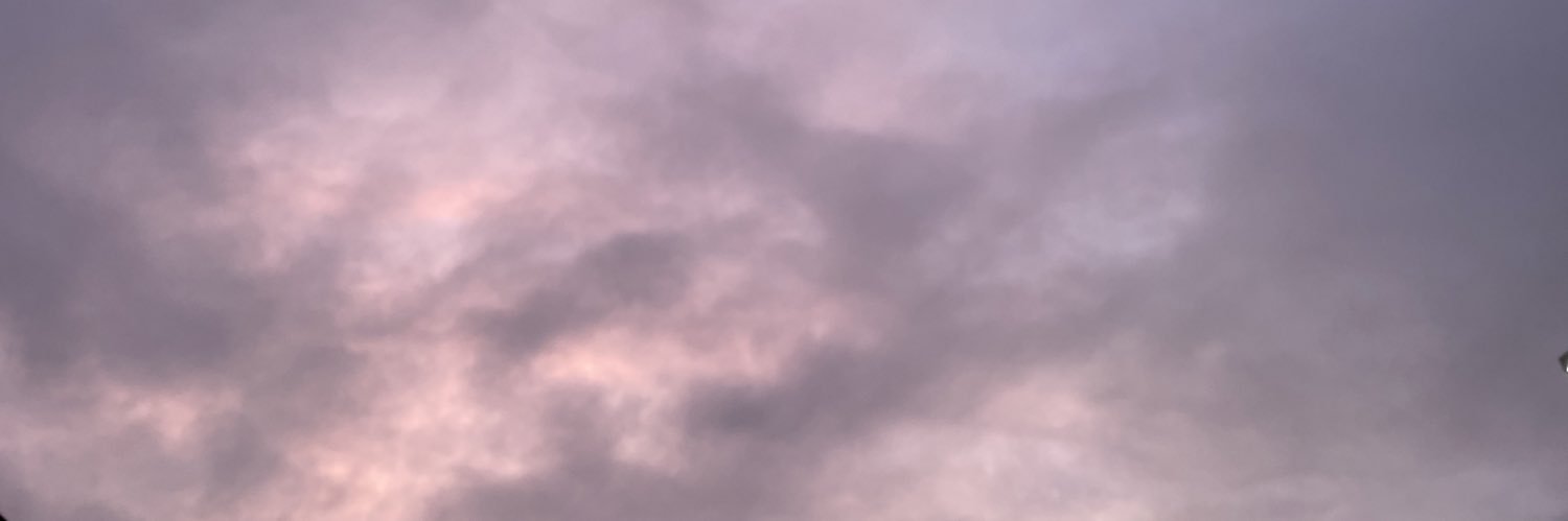 rainnfish's profile banner image