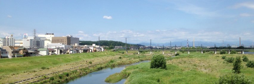 T banner