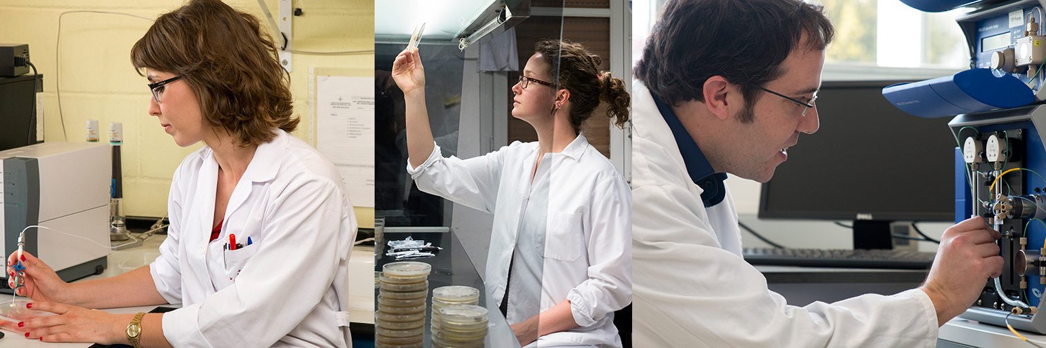 Universitat de Lleida (UdL) banner