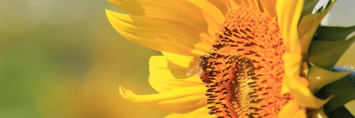 doris199015's profile banner image
