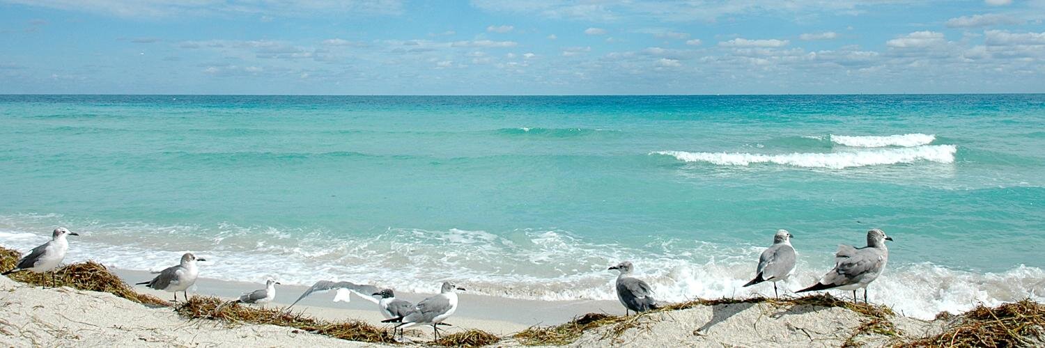 SarasotaEvents_'s profile banner image
