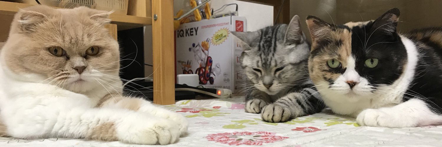 anponz_cat's profile banner image