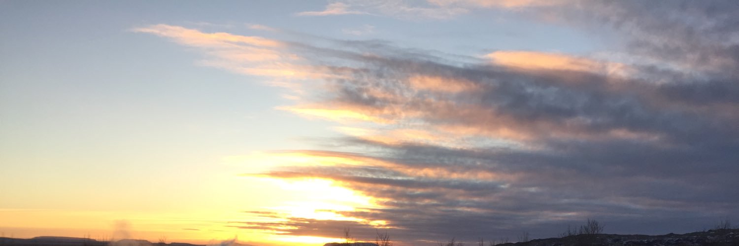 Lil Collingham-Clark banner