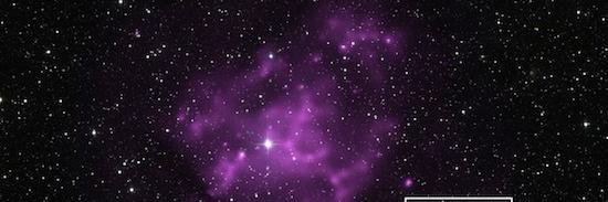 Suctionweed Co. banner