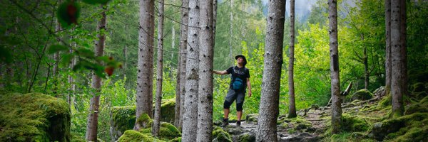 AbbieSongThrush Profile Banner